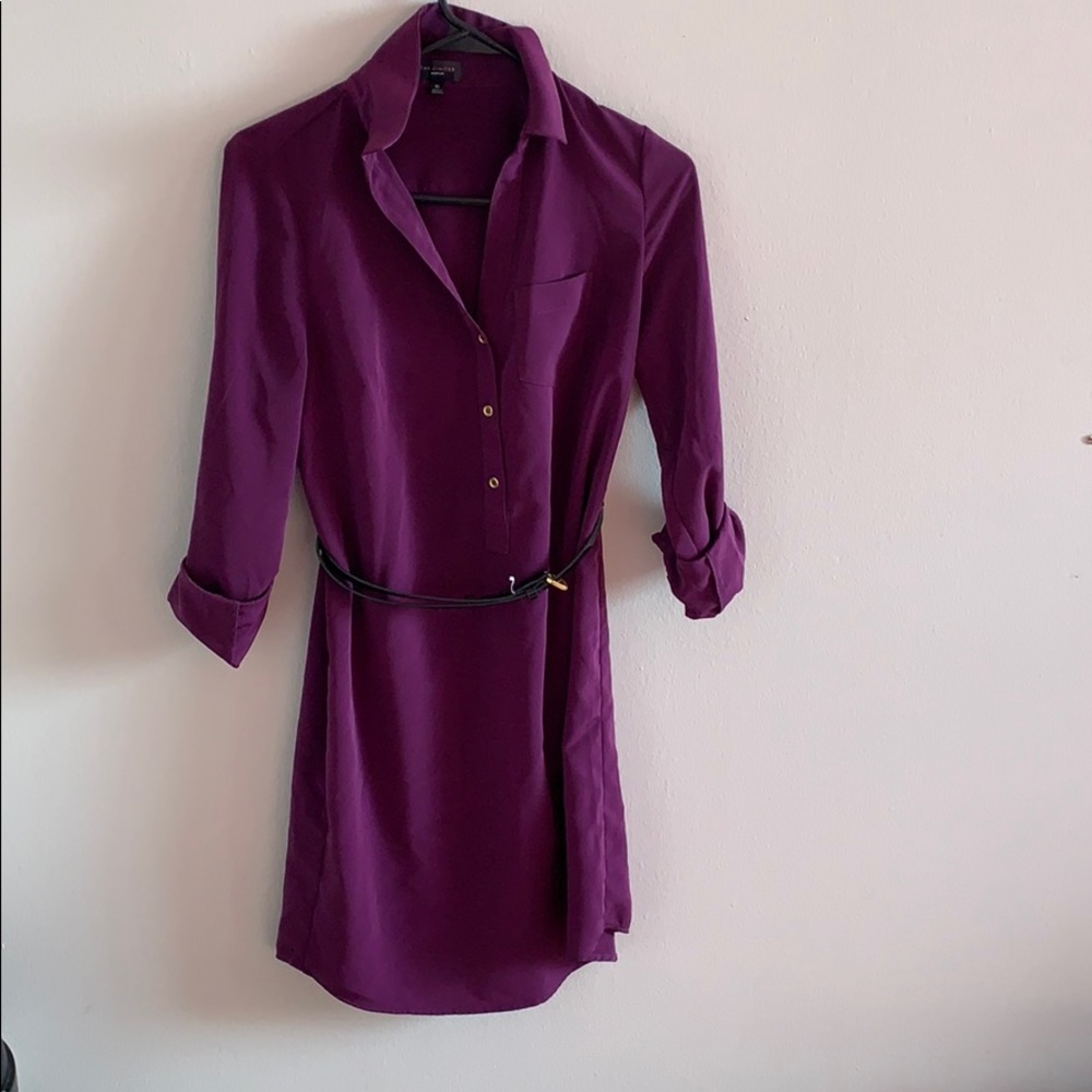 Purple The Limited Dress